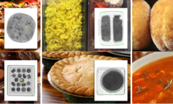 Unveiling the Hidden Flavors: How Food X-ray Technology is Revolutionizing the Culinary World